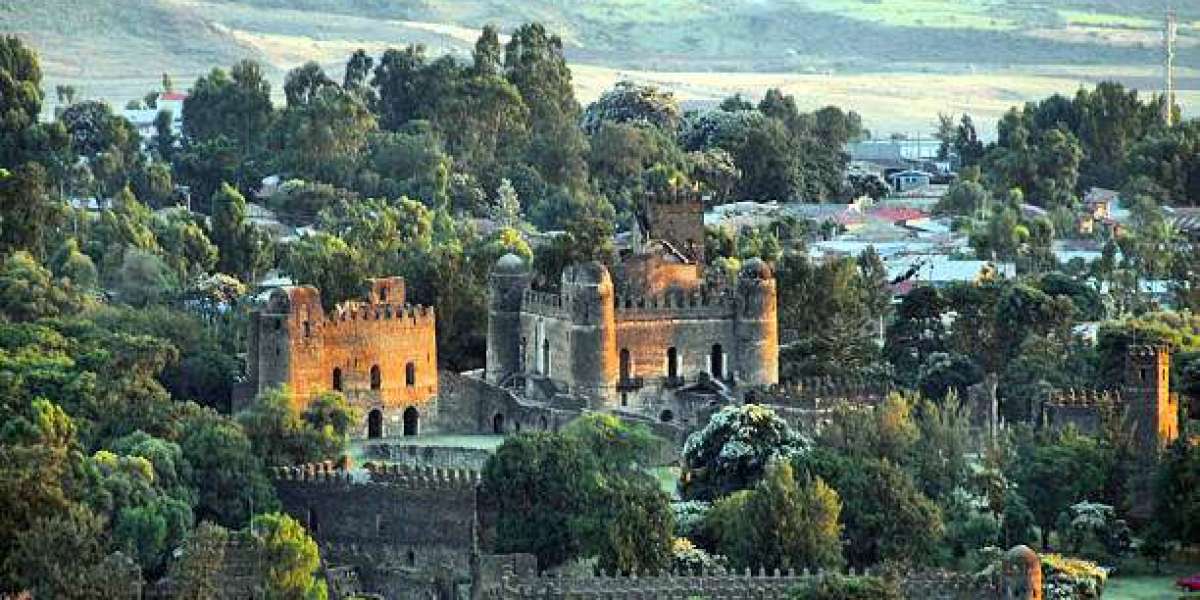Historical Wonders of Ethiopia: From Lalibela to Axum
