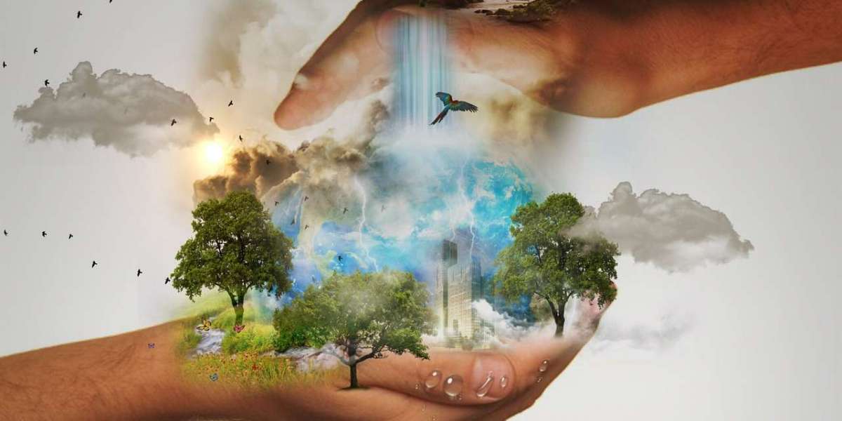 Understanding CSR Fund Utilization and the Role of Fiinovation CSR Company in Sustainable Development