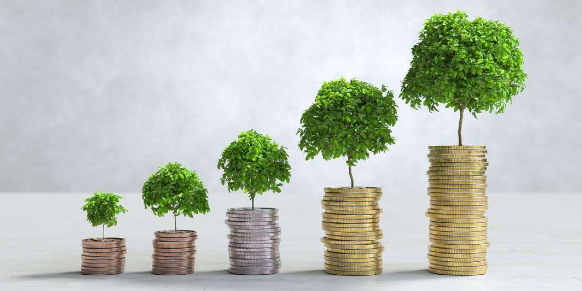 Why Professional Tax Guidance Is Becoming Essential for UAE SMEs