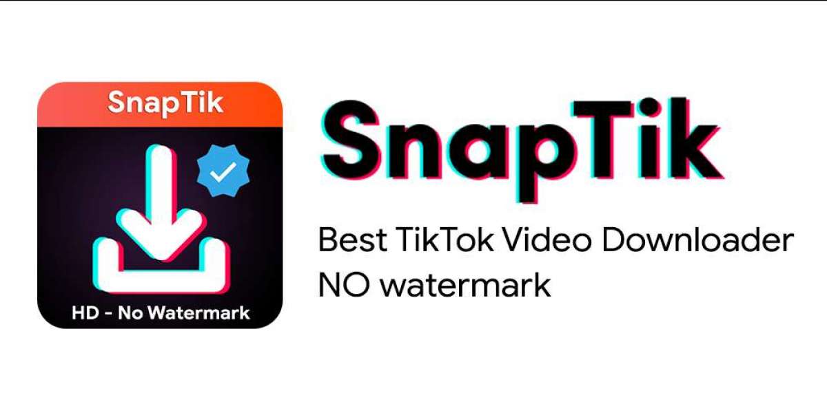 Everything You Need to Know About Snaptik and Snapinsta