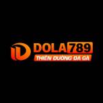 Dola789 VNNet