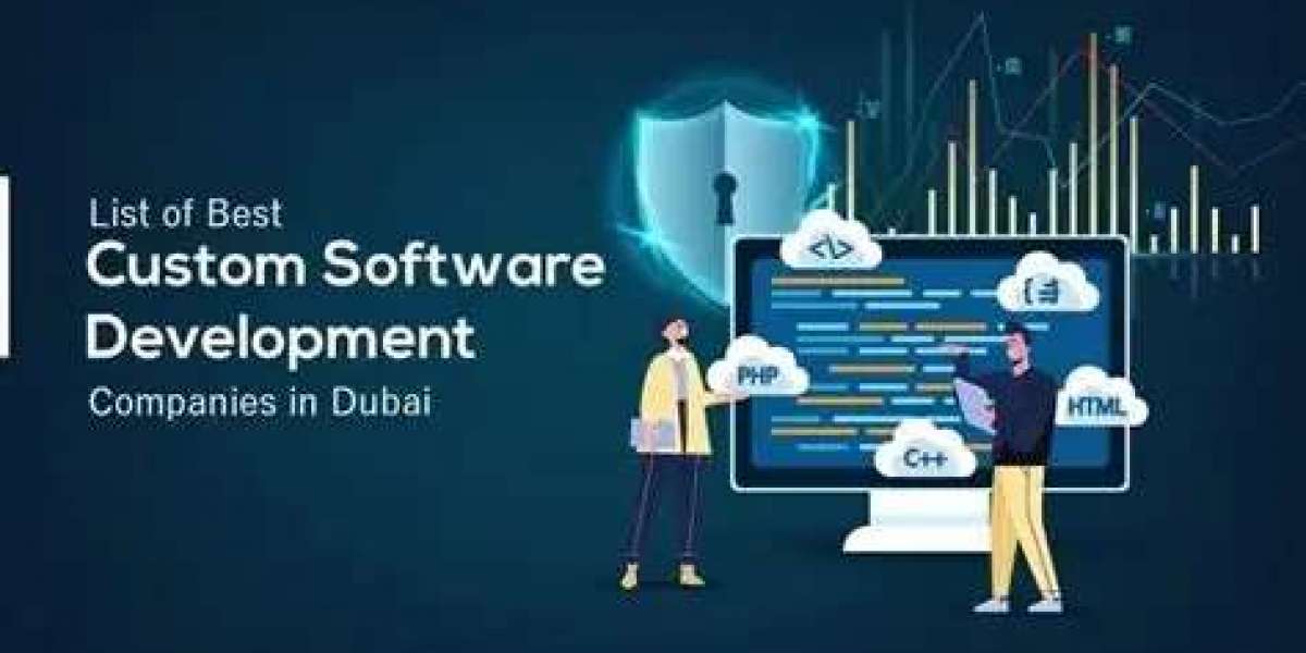 Reasons Companies Choose Custom Software Development Dubai Solutions