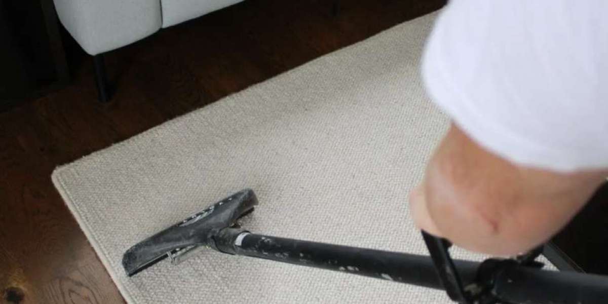 Carpet Cleaning Auckland: How to Keep Carpets Fresh in Homes With High Foot Traffic