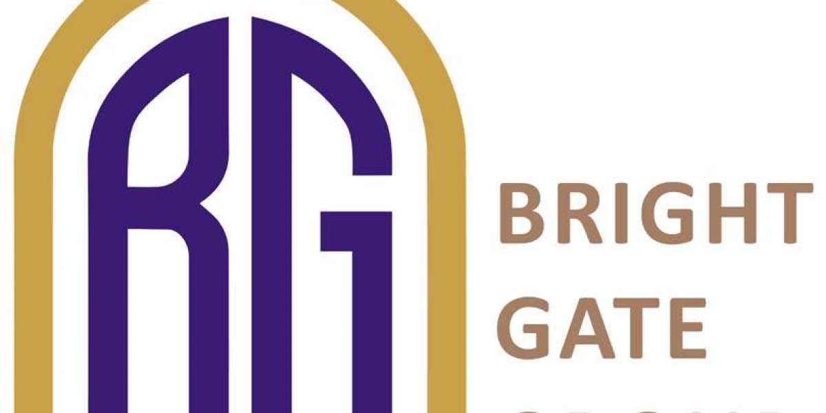 Liquidity Provider for Forex: Powering Seamless Trading with Brightgate