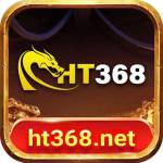 HT368 Net