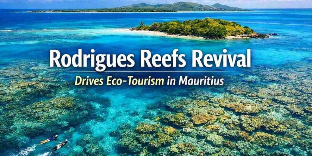 Rodrigues Reefs Revival Drives Eco-Tourism in Mauritius