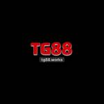 NHÀ CÁI TG88