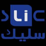Slic Store