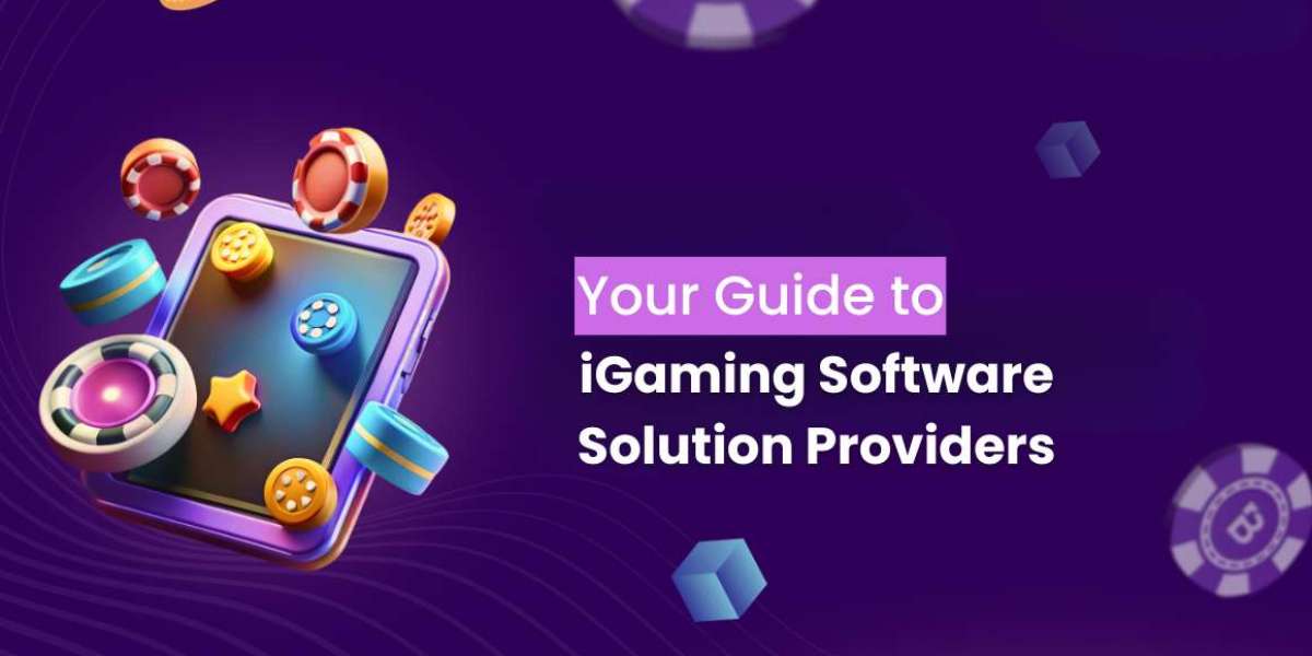 Why Are iGaming Software Solution Providers Important | TMK?