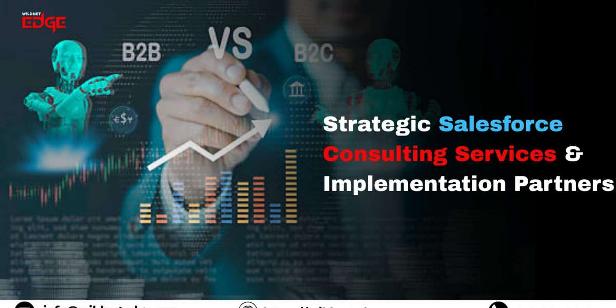 Maximizing Business Growth with Professional Salesforce Consulting Services