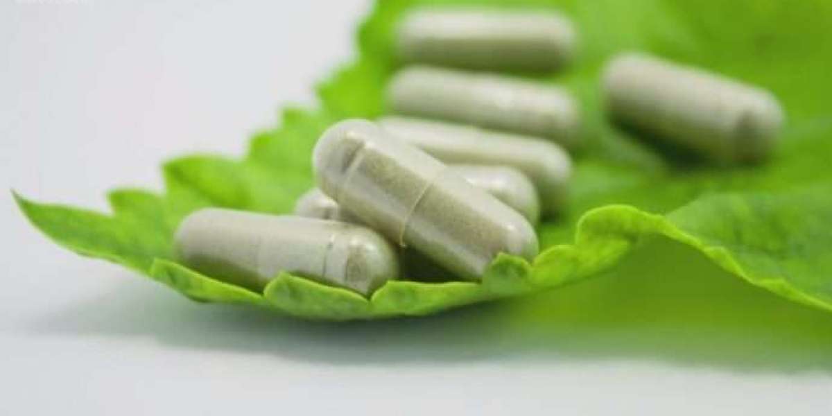 The Role of Weight Management Supplements in Modern Wellness