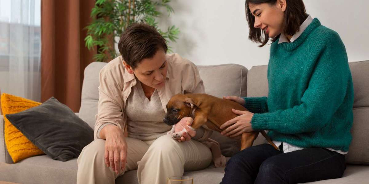 At-Home vs. In-Clinic Euthanasia: Which Option Is Right for Your Family?