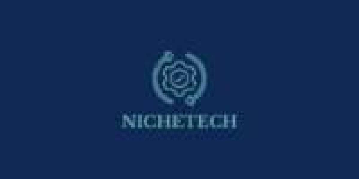 Niche Tech: Intelligent Automation for Businesses
