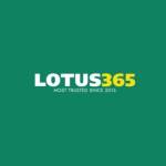 lotus365 app