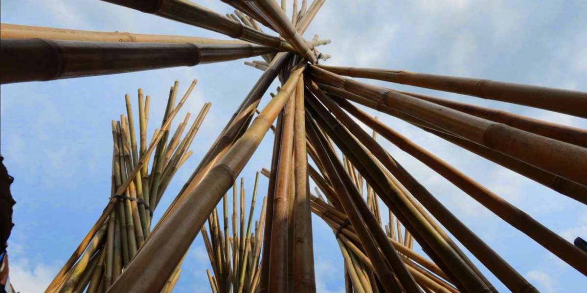 Why Choose Bamboo Stakes Over Other Plant Supports?