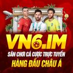 VN6 BNEW