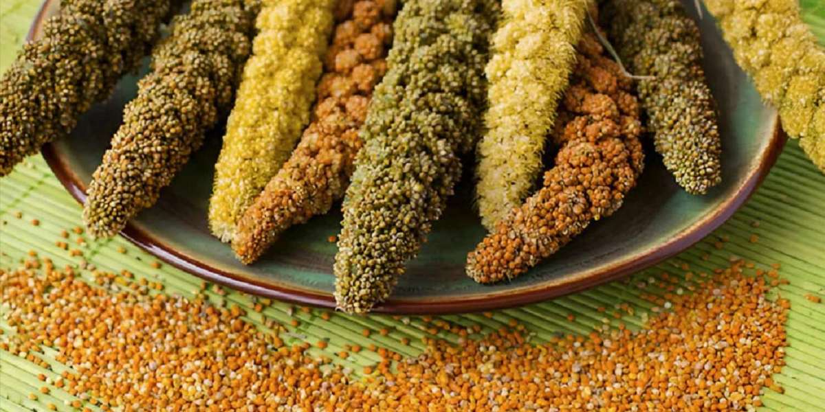 Millet Nutrition: Types of Millets and Their Benefits
