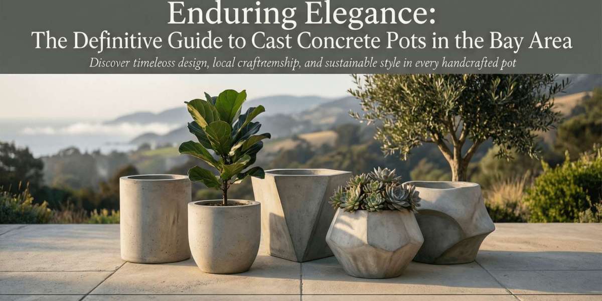 Enduring Elegance: The Definitive Guide to Cast Concrete Pots in the Bay Area