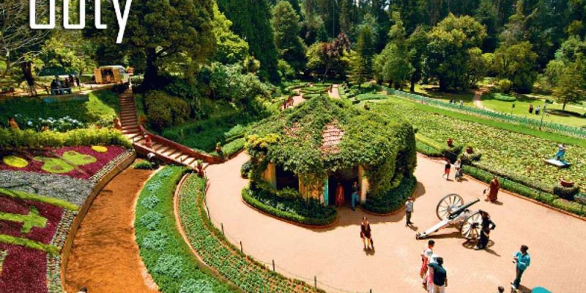 Ooty Taxi