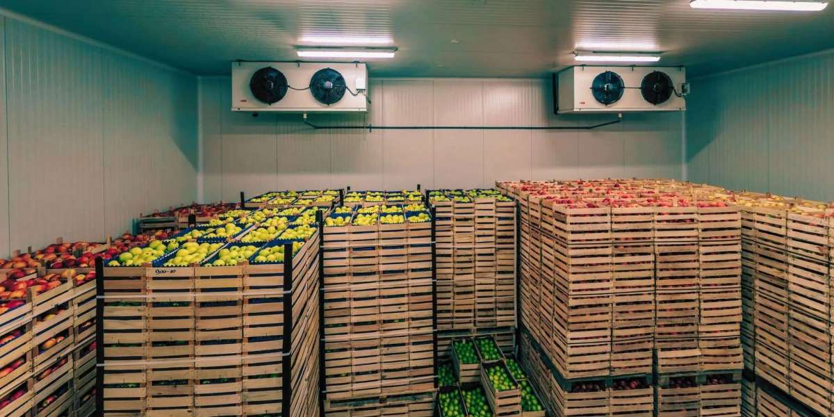 How Cold Storage Solutions Protect Food Quality at Scale