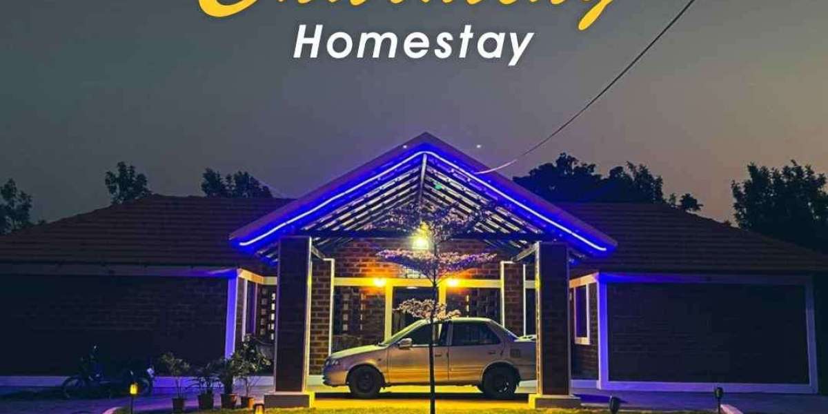 Affordable Yet Beautiful: Best Budget Homestay in Chikmagalur
