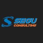 Segu Consulting