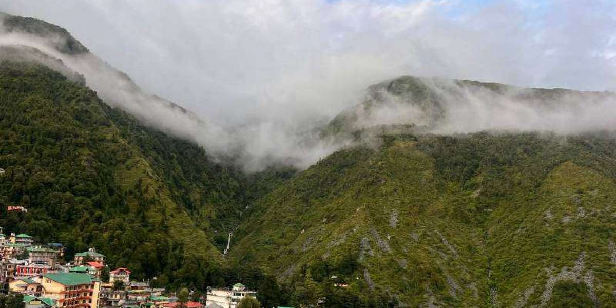 Triund Trek mcleodganj: A Short Himalayan Adventure with Big Scenic Rewards