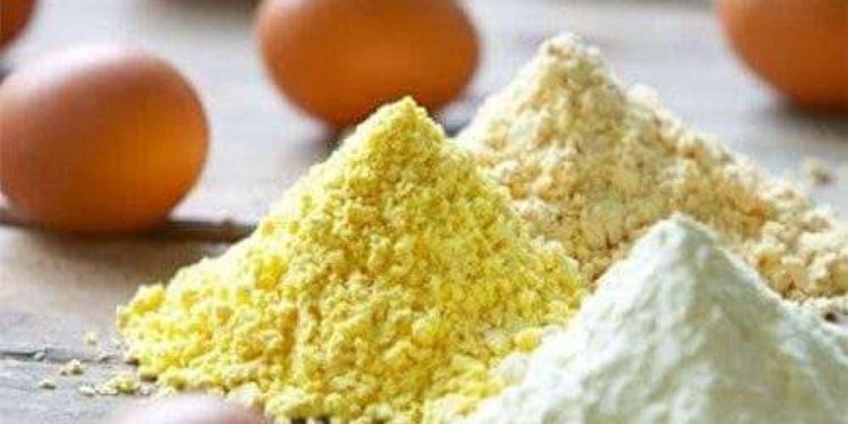 Future of Egg Protein Powder: Performance Nutrition, Healthy Aging, and Everyday Protein Growth
