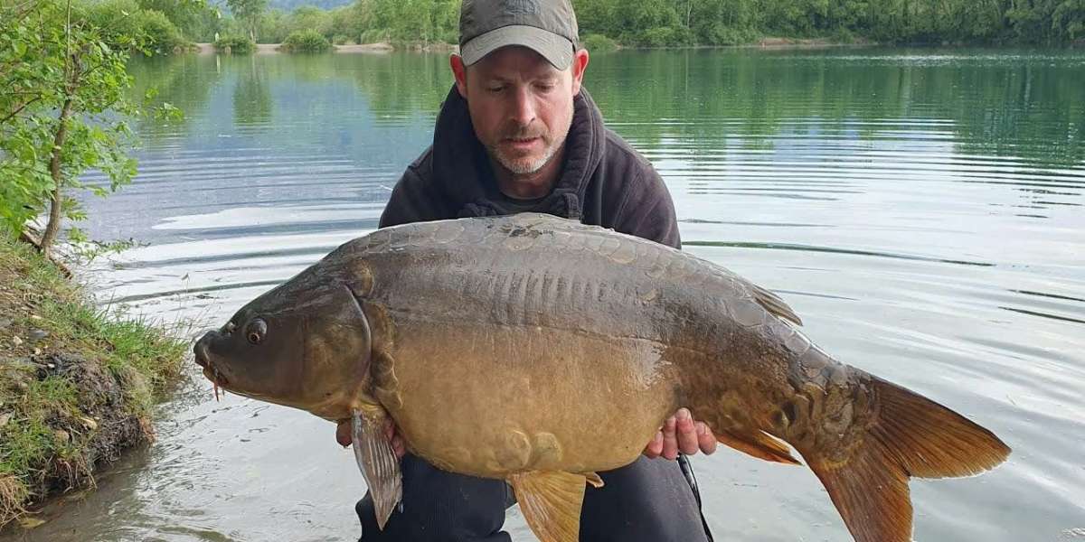 France Carp Market Outlook 2024–2035: Growth, Trends & Opportunities
