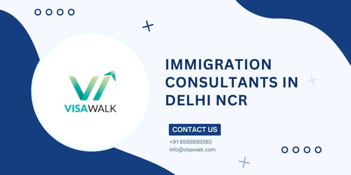Best Immigration Consultants in Delhi NCR