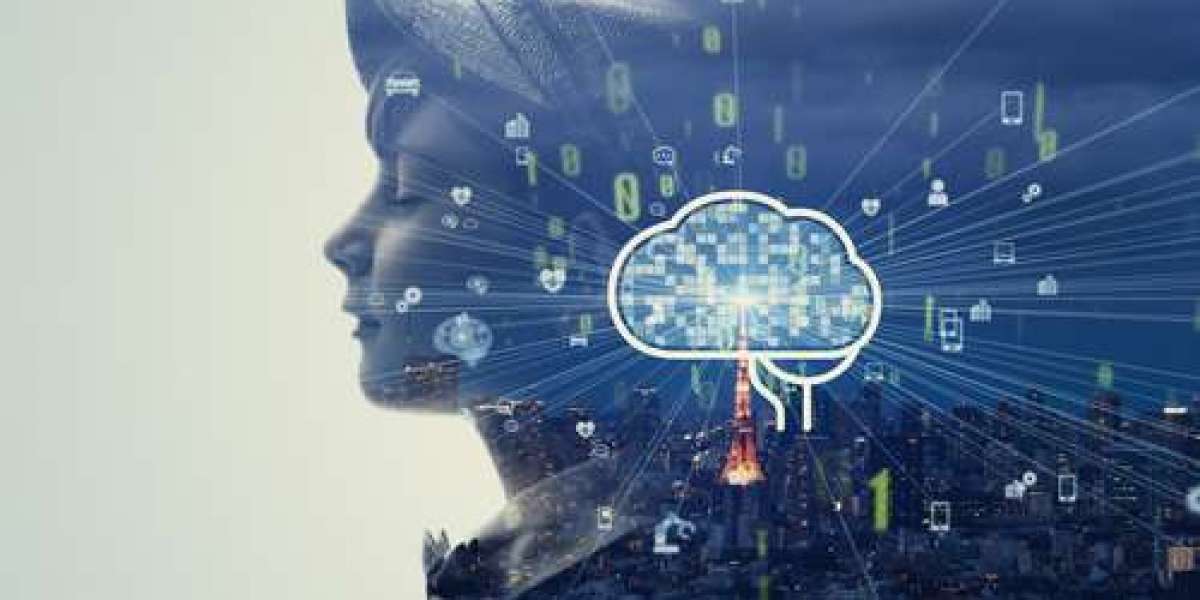 How an Industrial Psychologist in Durban Enhances Employee Wellbeing and Business Success