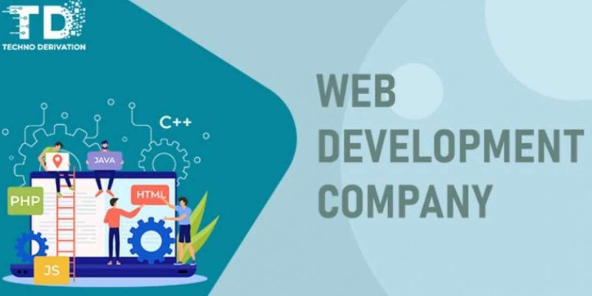 The Role of a Web Development Company in USA’s Digital Transformation