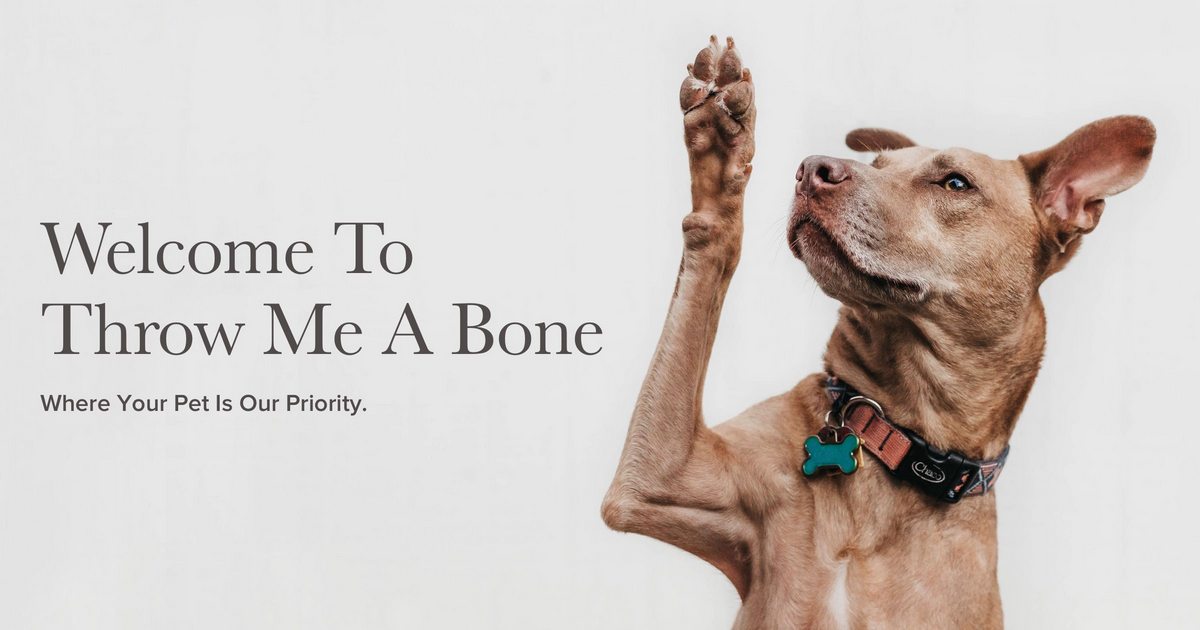Home Pet Care Services in NYC | Throw Me A Bone