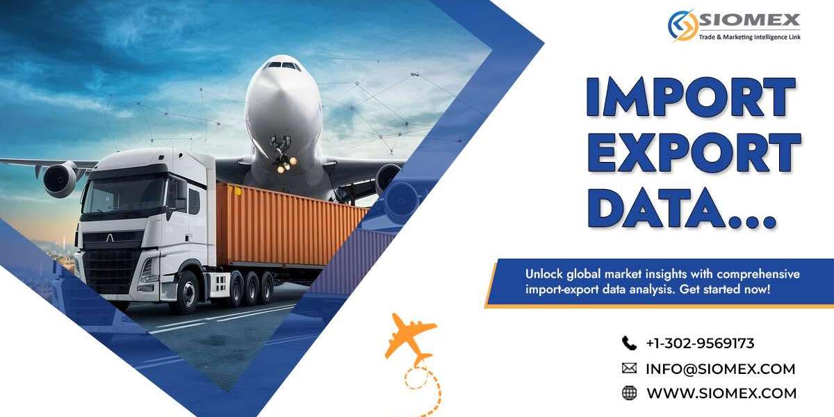 Import Export Data Made Simple for New Traders