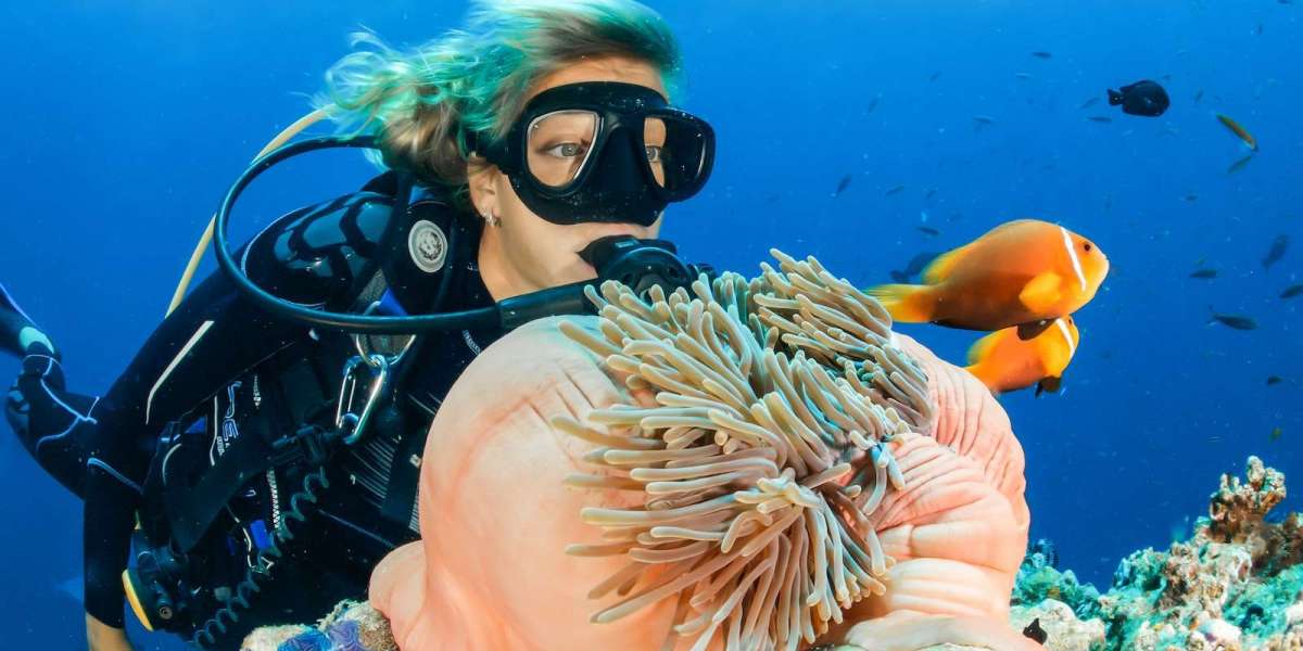 Plage de Crystal Bay Nusa Penida : un joyau naturel à explorer