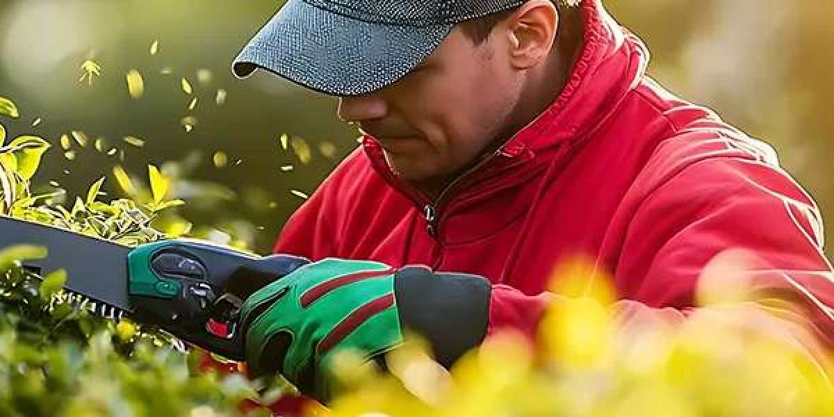 What Should You Know About Tree Service Miami Beach?
