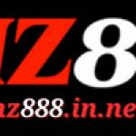 hz88 8innet