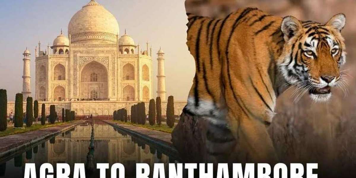 Complete Agra to Ranthambore Travel Guide for First-Time Visitors