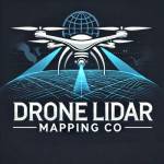 Drone LiDAR Mapping