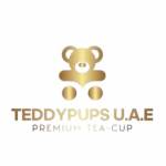 Teddy pupss
