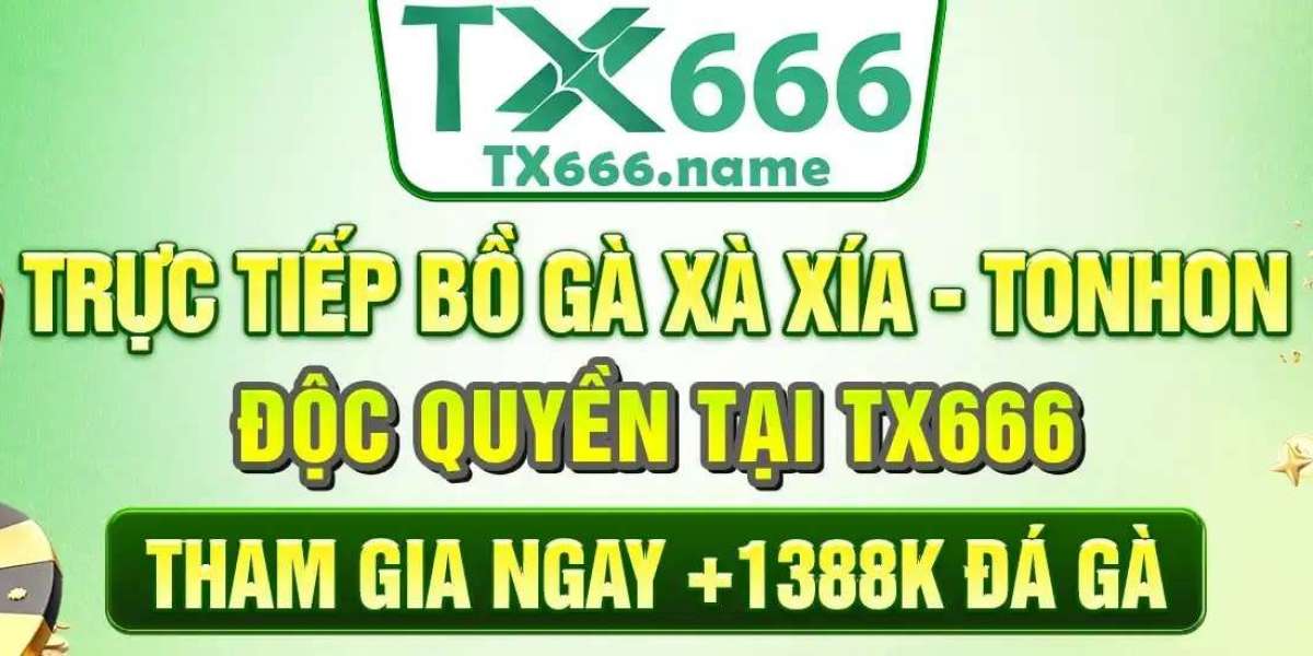 TX666 - TX666.NAME - Nhà Cái Trực Tuyến Uy Tín Hàng Đầu Việt Nam