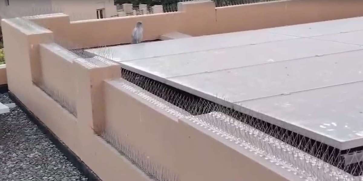 Stainless Steel Bird Spikes—The Ultimate Pigeon Control Solution in Dubai