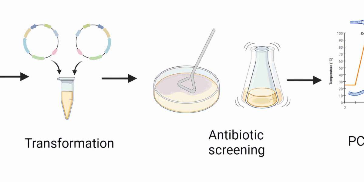 High-Sensitivity ELISA Kits for Antibiotic Residue Detection in Biologics Manufacturing