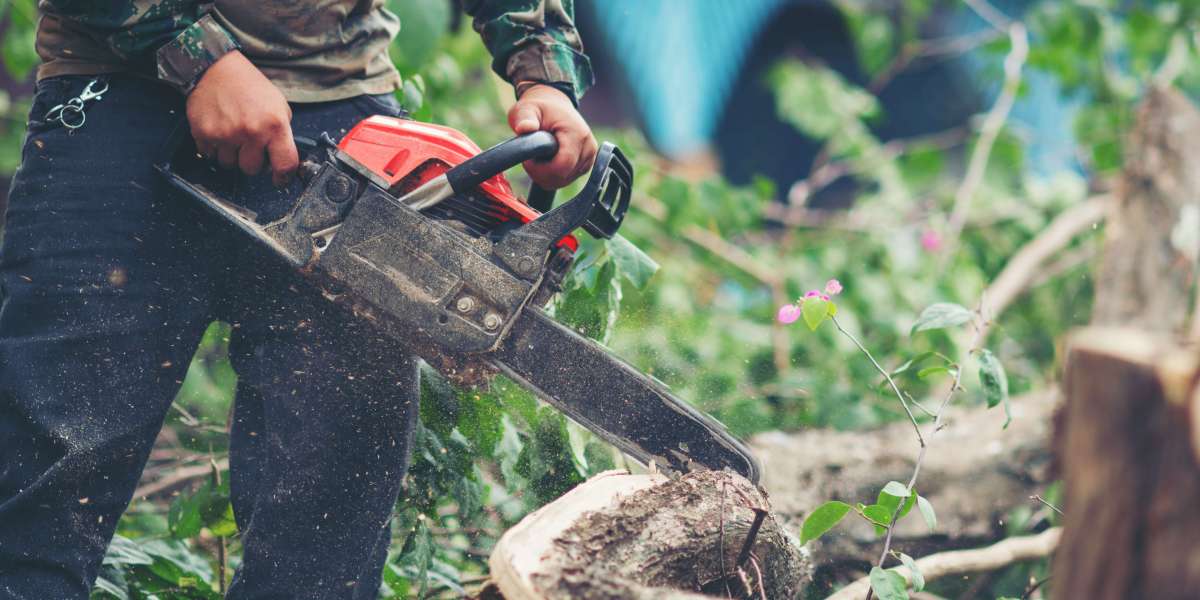 What Difference Does Professional Tree Trimming Really Make?