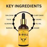 Big Bull Oil