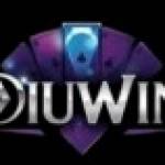 Diuwingame85