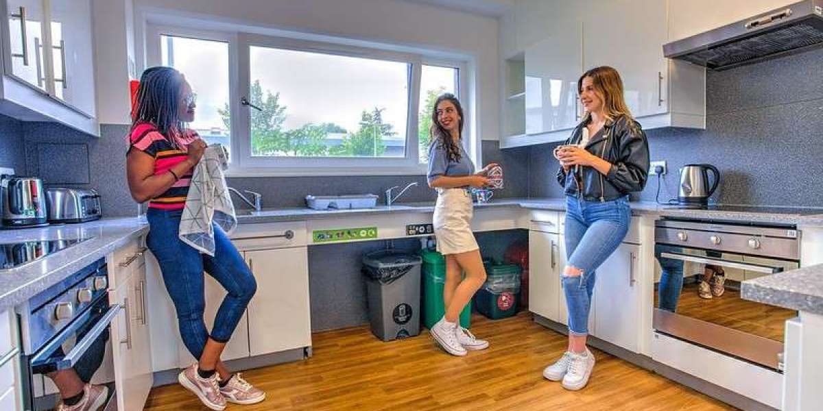 Explore the Cost of Living in London for International Students
