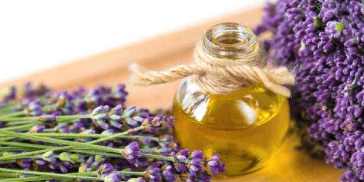 Lavender Oil Manufacturers: Delivering Purity, Aroma & Therapeutic Excellence