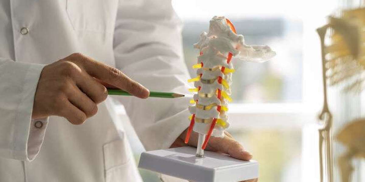 Top Spine Specialist Hisar: Precision Diagnosis and Advanced Spine Care