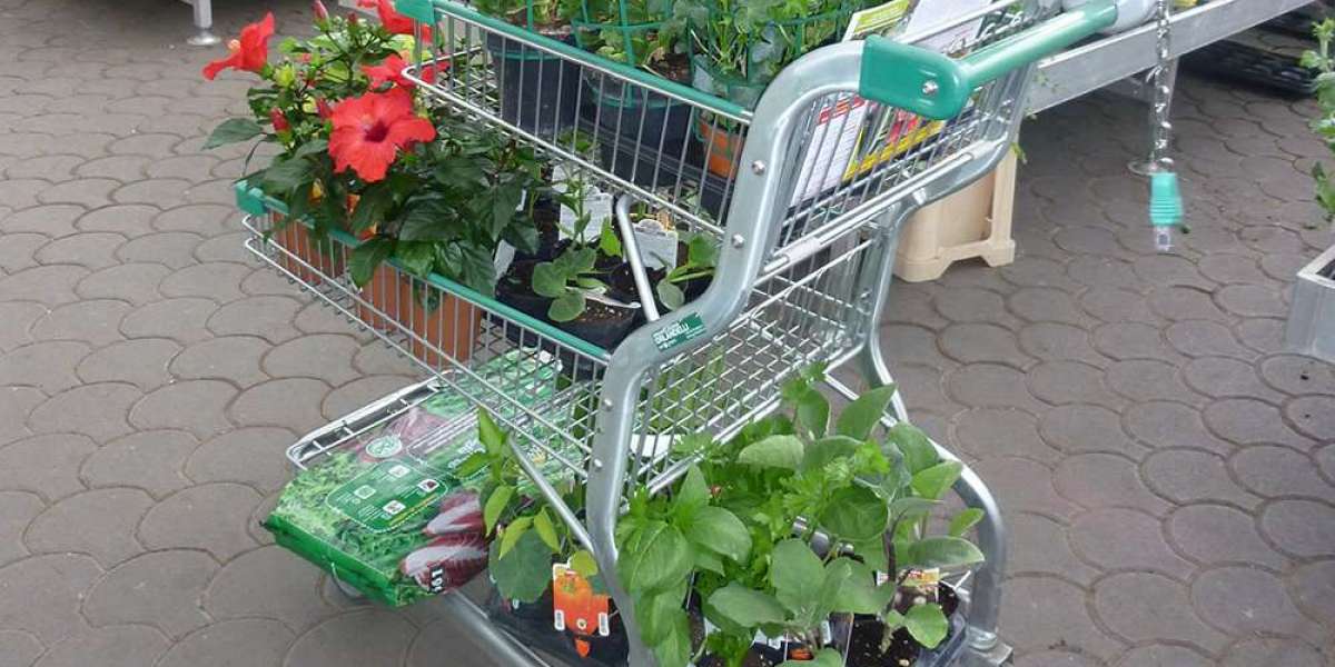 Why Garden Centre Trolleys & Baskets Matter for Sales Growth?